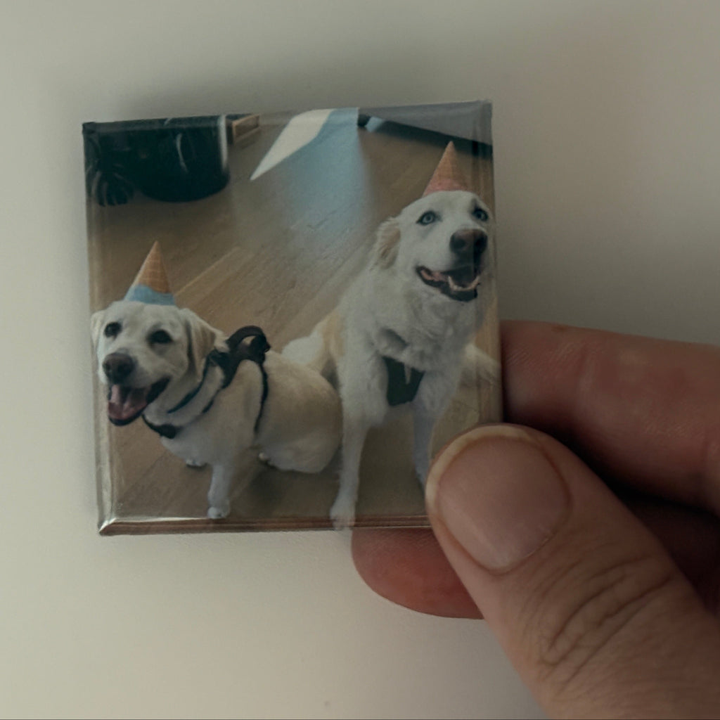 Small square magnet with two dogs wearing party hats held by a hand against a white background