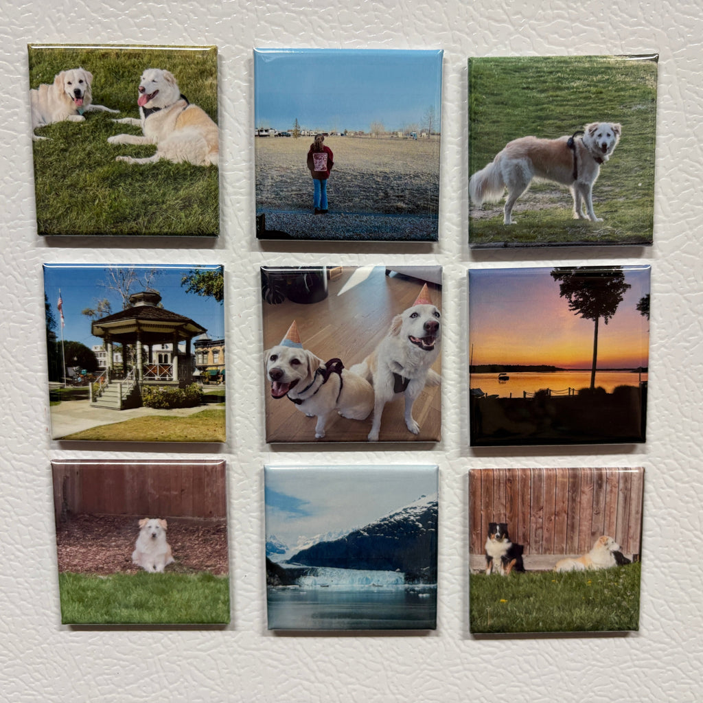 Nine square tiles with images of dogs  and landscapes on a textured white surface