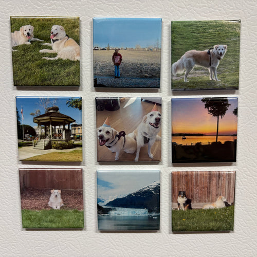 Nine square tiles with images of dogs  and landscapes on a textured white surface